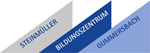 Drei diagonale Balken: hellgrau mit der Aufschrift „STEINMÜLLER“, dunkelblau mit der Aufschrift „BILDUNGSZENTRUM“ und hellblau mit der Aufschrift „GUMMERSBACH“; jedes Wort – nun verbunden durch „Elektro- und Informationstechnik“ – ist vertikal angeordnet, was für eine moderne und technische Optik sorgt.